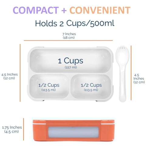 Small Snack Box Containers for Kids (3 Count)