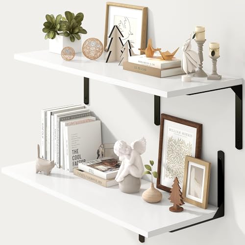 Floating Shelves for Wall (2 Count)