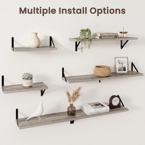 Wall Mounted Floating Shelves Set of 2 (2 Count)