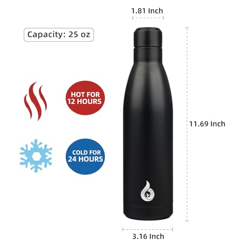 25 oz Insulated Stainless Steel Water Bottle