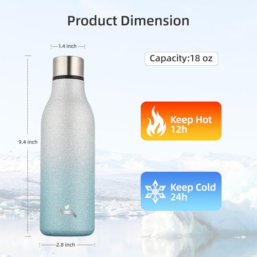 18 oz Insulated Stainless Steel Metal Water Bottle with Strap