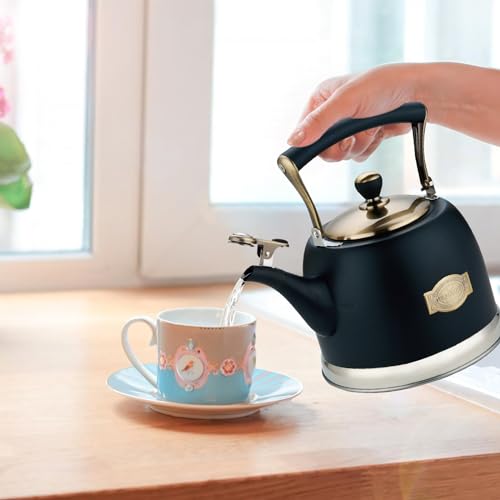 Tea Kettle Stainless Steel Teapot