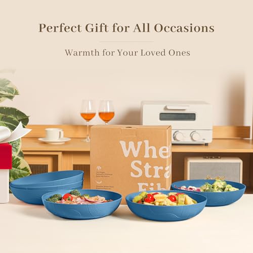 Salad Bowls 65 OZ Large Serving Bowls 10 inch Wheat Straw Big Bowl Set of 6 Plastic Bowls Wide and Shallow Bowl for Kitchen Microwave & Dishwasher Safe