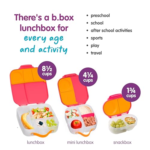 Snack Box 2 Pack (2 Count)