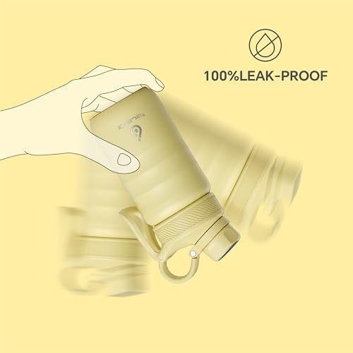 Insulated Water Bottle 12oz