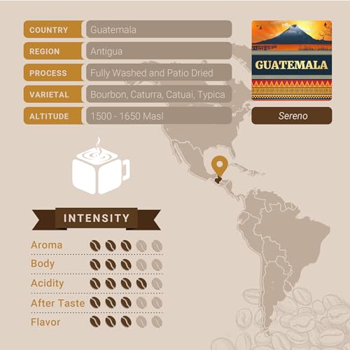 Guatemala Antigua Medium Roast Single Origin Coffee Pods (10 Count)