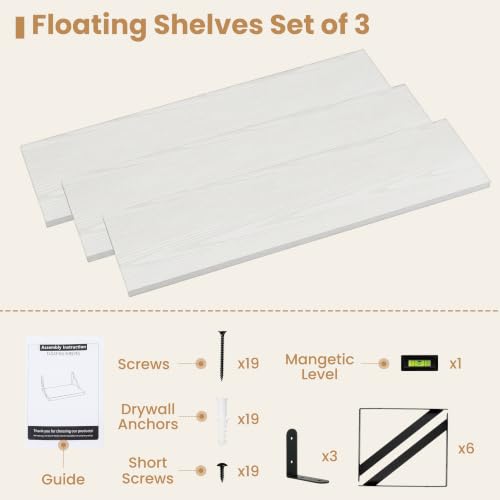 Floating Book Shelves for Wall (3 Count)