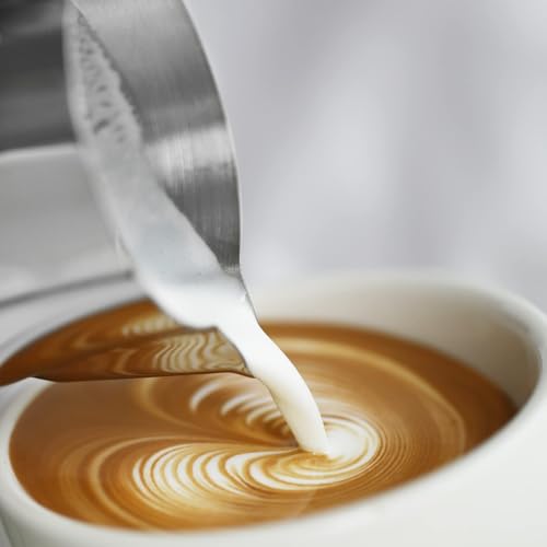 Milk Frothing Pitcher 450ml