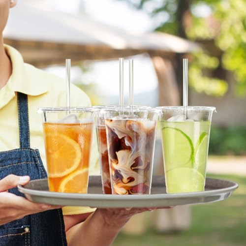 100 Pack 24 oz Clear Plastic Cups with Lids and Straws (100 Count)