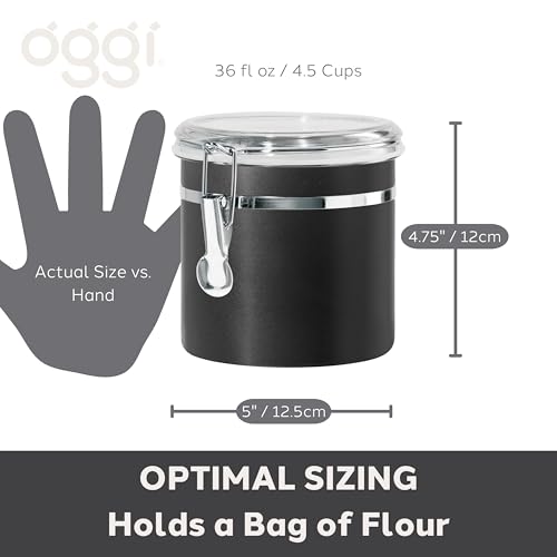 Stainless Steel Kitchen Canister 36 fl oz