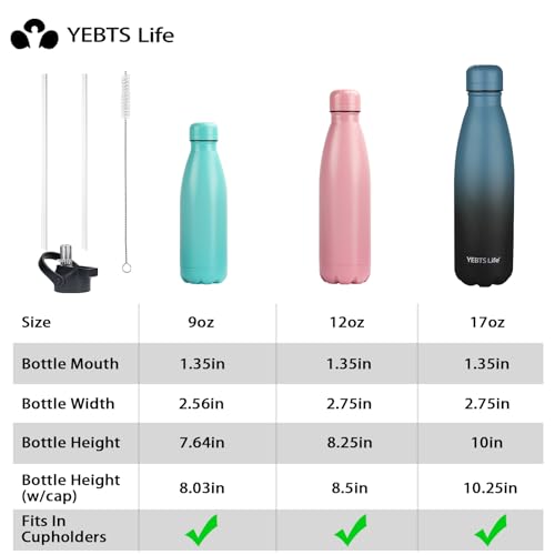 Insulated Water Bottle (2 Count)