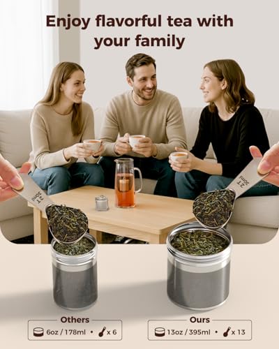 2 Pack Extra Large Tea Infuser for Loose Leaf Tea & Spice Ball (2 Count)