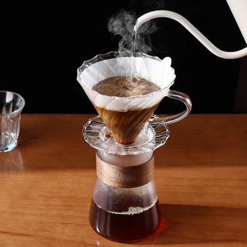 Glass Pour Over Coffee Maker Set