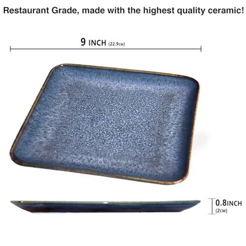 4 piece ceramic dinner plate set (4 Count)