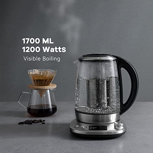 Electric Tea Kettle with Removable Infuser
