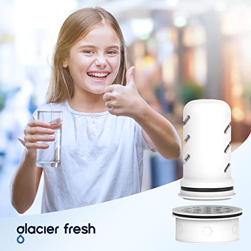 Pitcher Filters Compatible with LifeStraw