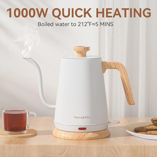 Electric Gooseneck Kettle with Thermometer