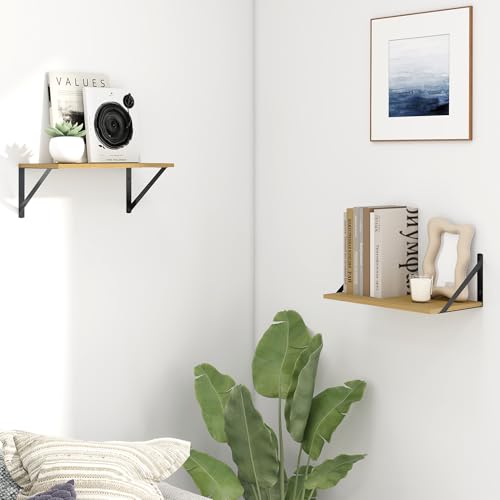 Deep Floating Shelves for Wall (2 Count)