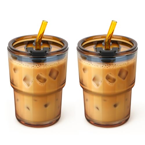 13 oz Glass Tumbler with Glass Straw and Lid (2 Count)