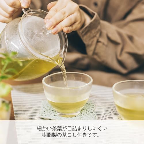ChaCha "Natsume" Tea Pot