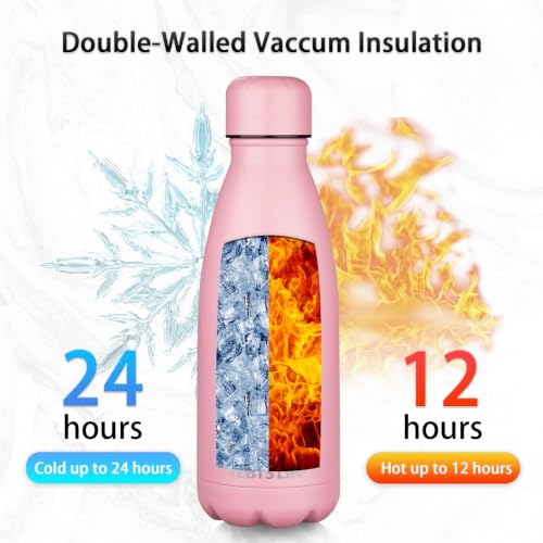 Insulated Water Bottle (2 Count)
