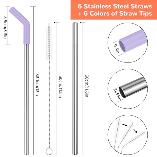 6PCS Stainless Steel Straws with Silicone Tip Fit for Stanley Cup (6 Count)