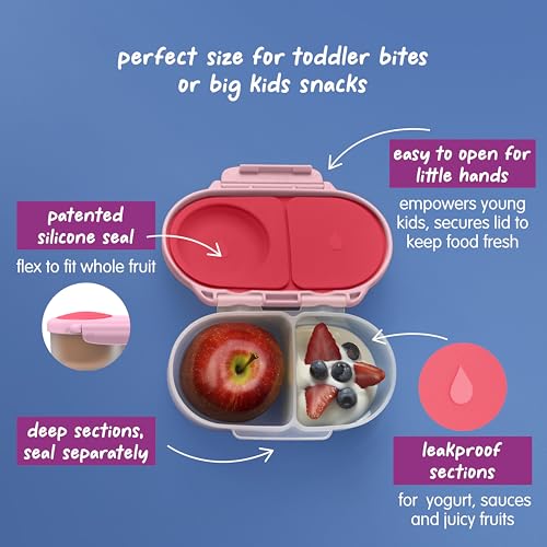 Snack Box Snack Containers for Kids