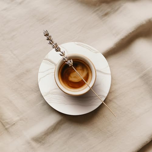 Ceramic Coasters Set of 6 (6 Count)
