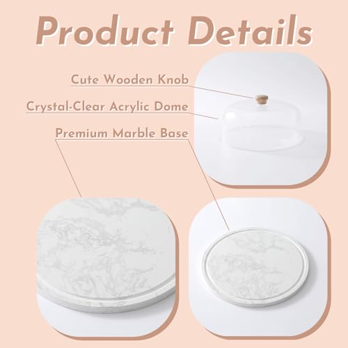 Marble Cake Stand with Acrylic Dome Lid
