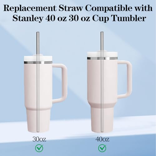 Stainless Steel Straw Replacement for Stanley 40 oz 30 oz (6 Count)