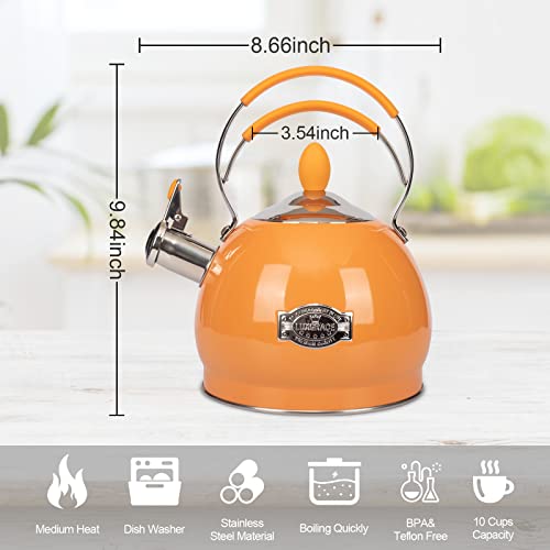 Whistling Tea Kettle Stainless Steel Teapot