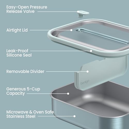 MicroSteel Leak