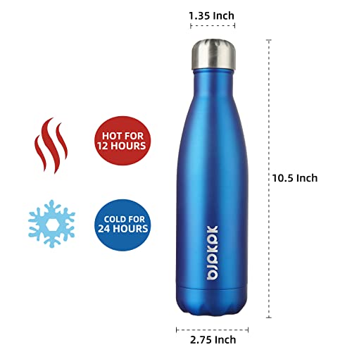17 oz Insulated Water Bottle