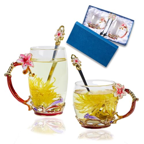 Tea Cup Glass Coffee Mugs (2 Count)
