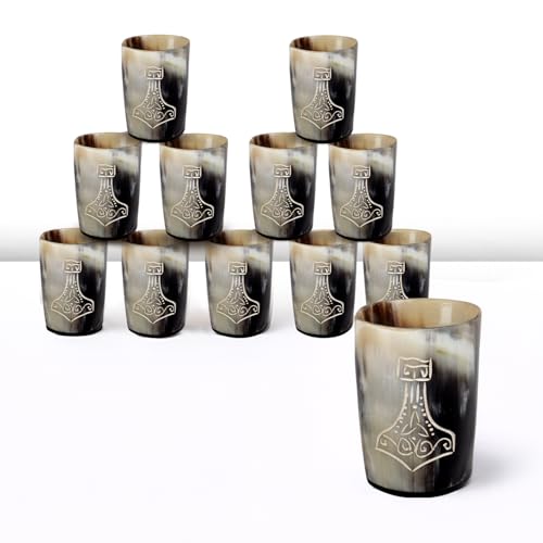 Viking Horn Shot Glasses Set of 12 (12 Count)