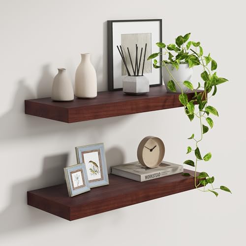 Floating Shelves (2 Count)