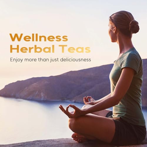 Turmeric Ginger Tea Bags (120 Count)