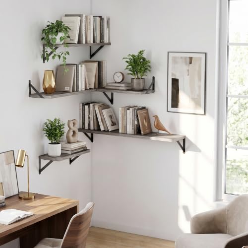 Wall Mounted Floating Shelves Set of 2 (2 Count)