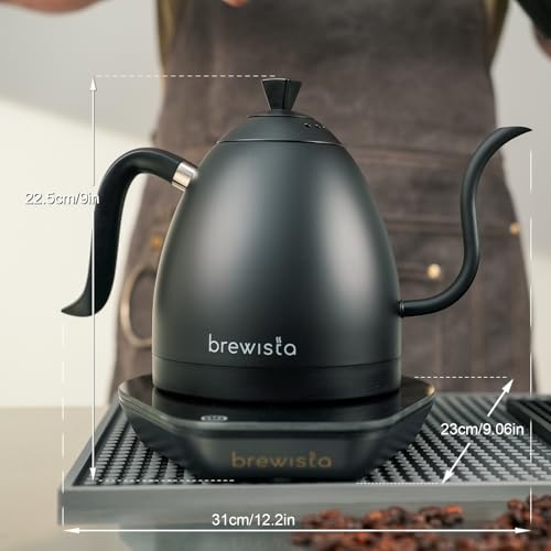Artisan Electric Gooseneck Kettle