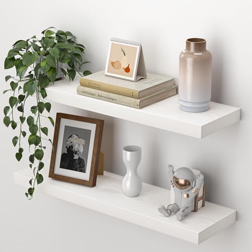 24 Inch Floating Shelves for Wall (2 Count)