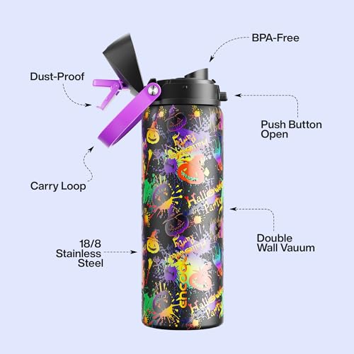 Insulated Water Bottle with Straw