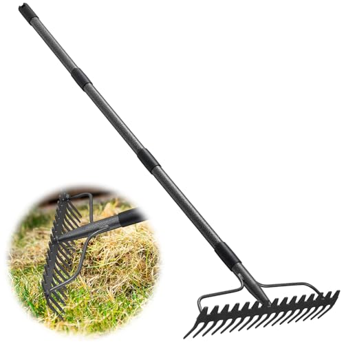 Rake 17 Tines with 49 Inch Handle