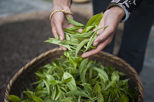 Alizes Winds Tea (3.5 Ounce)