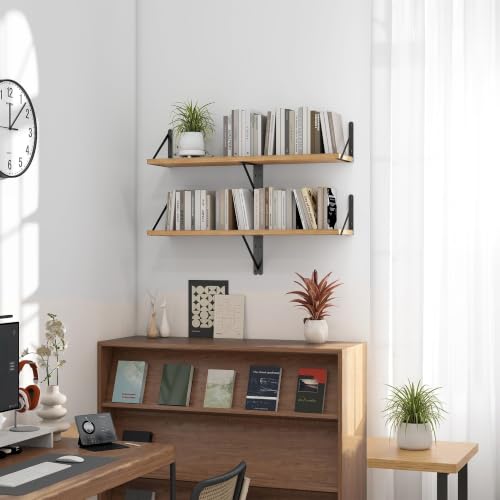Floating Book Shelves for Wall (3 Count)
