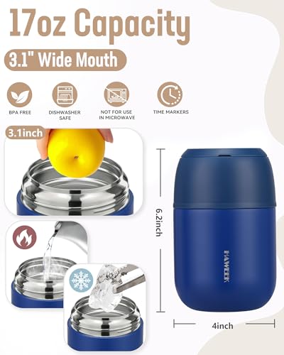 17oz Insulated Food Jar with Spoon
