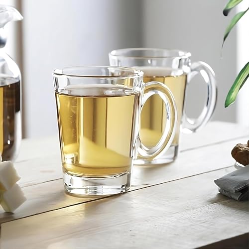 Clear Large Glass Coffee Mug with Handles