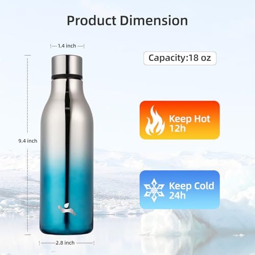 18 oz Insulated Stainless Steel Metal Water Bottle with Strap
