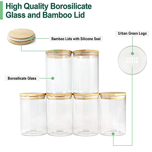 Glass Jars with Airtight Lids (6 Count)