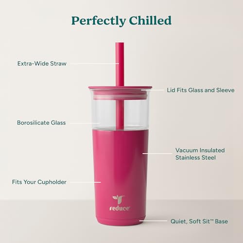 Aspen 20oz Vacuum Insulated Glass Tumbler