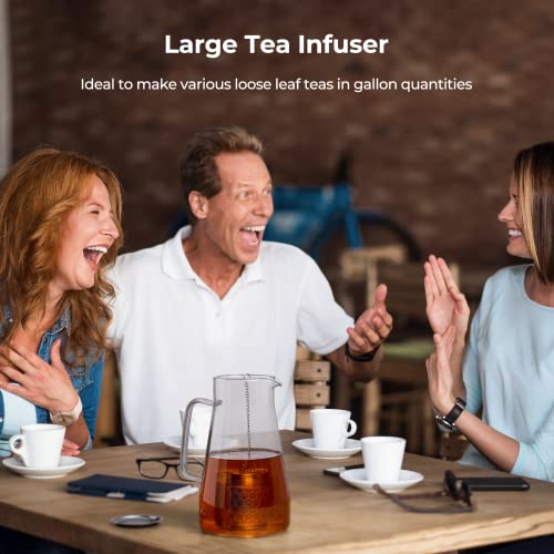 2 Pack Large Tea Infuser for Loose Leaf Tea & Spice Ball 2”x2.8” (2 Count)
